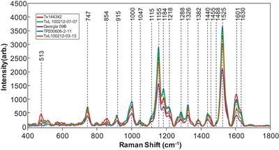 A Proof-of-Principle Study of Non-invasive Identification of Peanut Genotypes and Nematode Resistance Using Raman Spectroscopy